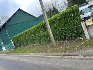 stn vasseur tonte de pelouse service à la personne jardinage dans la somme