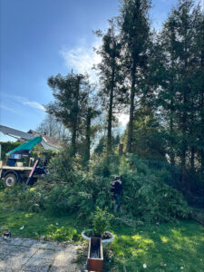 stn vasseur ailly sur noye elagage