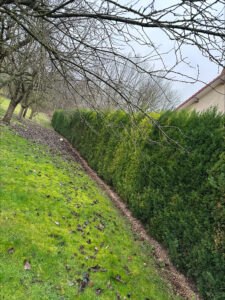 stn vasseur moreuil taille haie