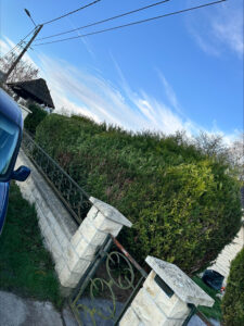 stn vasseur compiegne taille haie