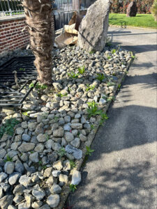 stn vasseur saint just en chaussée entretien jardin