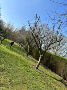 stn vasseur le mesnil saint firmin service nettoyage maison