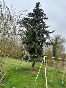 stn vasseur saint just en chaussée service a la personne