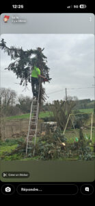 stn vasseur montdidier elagage arbre