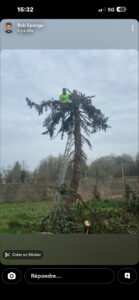 stn vasseur moreuil abatage d'arbre
