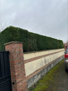 stn vasseur le mesnil saint firmin renovation maison