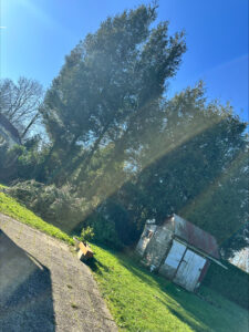 stn vasseur montdidier bricoleur à domicile