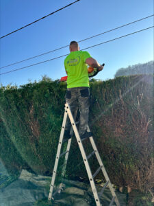 stn vasseur jardinier paysagiste ailly sur noye