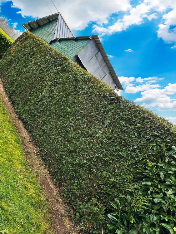 stn vasseur service nettoyage maison travaux maison le mesnil saint firmin